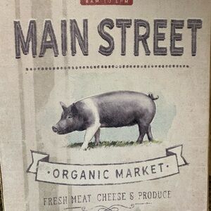 Main Street used PIG sign